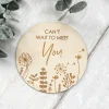 Can't Wait To Meet You Baby Plaque