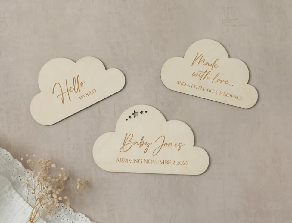 cloud_baby_milestone_disc_2.webp Cloud Baby Milestone Discs
