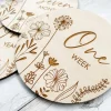 Dandelion Wishes Baby Milestone Discs