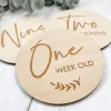 F+B Baby Milestone Discs