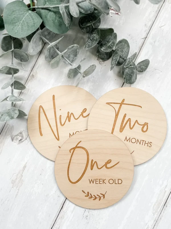 F+B Baby Milestone Discs