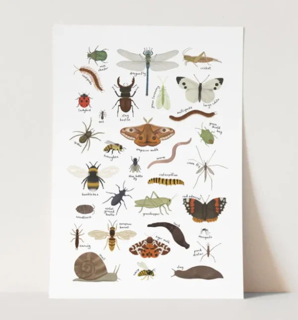 Kid of the Village A4 Minibeast Print