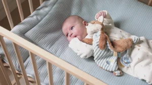 Little Dutch Cuddle Cloth Fox - Forest Friends