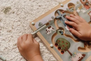 Little Dutch Magnetic Maze - Little Farm