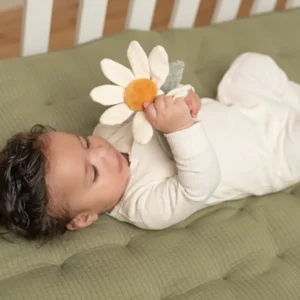 Little Dutch Rattle Flower - Little Farm