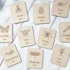 Minibeasts Flashcards
