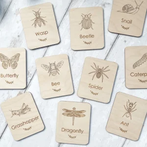 Minibeasts Flashcards