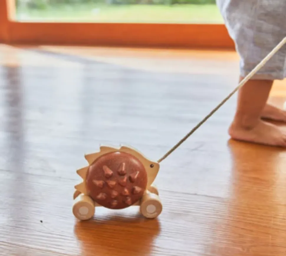 plan_toys_pullalong_hedge_4.webp Plan Toys Pull-Along Hedgehog - Brown