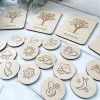 Seasons Flashcards & Weather Tokens