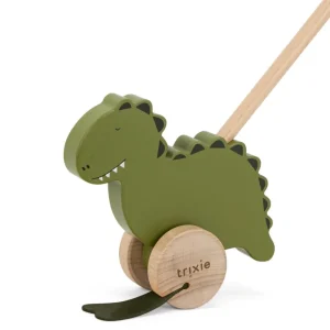 Trixie Push Along Toy - Mr. Dino