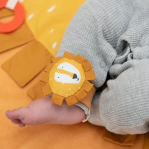 Trixie Wrist Rattle - Mr. Lion