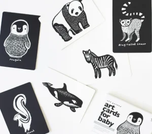 Wee Gallery Little Naturalist Gift Set - Black & White