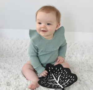 Wee Gallery Organic Crinkle Toy - Leaf